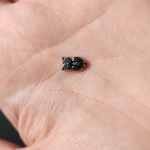 Owl Origami Owl Charm